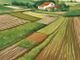 Agricoltura sociale: una risorsa per la salute mentale e il benessere post-Covid in Piemonte