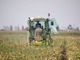 Dalla regione 9 milioni di euro per lo sviluppo delle aziende agricole