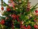 Per le scuole piemontesi il Natale non è finito: c'è tempo fino al 20 gennaio per partecipare al concorso fotografico della Regione