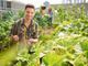 Il bando da 45 milioni di euro con il &quot;pacchetto&quot; per i giovani agricoltori slitta al 15 aprile
