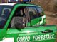 Daini e cervi per uso alimentare: i forestali sanzionano 21 allevamenti nel novarese