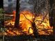 Incendi boschivi, indagine dell'Uncem per capire come vanno prevenzione e gestione dell'emergenza