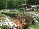 Il 3 e 4 luglio Festa d'Estate al Lago delle Rose