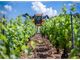 Con il caro gasolio costi insostenibili per gli agricoltori
