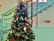 &quot;Scatta il tuo Natale&quot;: la Regione Piemonte premia la primaria di Trecate