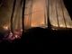 Incendi boschivi, la Regione Piemonte approva le linee guida per i piani di prevenzione territoriali