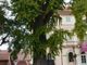 In Piemonte 319 alberi monumentali: l'analisi di Coldiretti