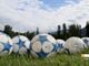 Serie D, pareggia il Gozzano, perde lo Stresa