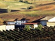 Biologi per il Rinnovamento, un pomeriggio sulle colline del Monferrato