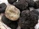 Unesco, il tartufo è patrimonio dell'umanità