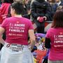 Fecondazione, Consulta: &quot;Entrambe le madri possono riconoscere figlio alla nascita&quot;