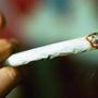 Cannabis, potenza in aumento: 5 cose da sapere su rischio psicosi