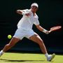 Wimbledon, oggi Bellucci e Darderi nel terzo turno: orari e come vederli in tv