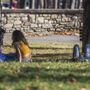 Caldo, tregua dall'afa in tutta Italia: ma quanto dura questa pausa?
