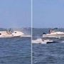 Balena contro barca, animale muore e uomo in mare