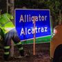 Usa, giudice ordina chiusura Alligator Alcatraz: &quot;Danneggia paludi&quot;