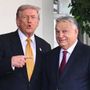 Trump accoglie Orban alla Casa Bianca: "Incontro con Putin? C'è sempre una possibilità" Trump accoglie Orban alla Casa Bianca: "Incontro con Putin? C'è sempre una possibilità"