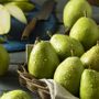Coldiretti Piemonte, Frutta: caduta precoce delle pere a causa delle piogge