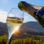 Coldiretti Piemonte: &quot;No allo spumante tarocco, serve una legge chiara sull’origine dei vini&quot;