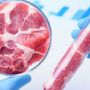 Tre italiani su quattro temono il controllo del cibo da parte delle grandi potenze finanziarie: l’allarme Coldiretti-Censis