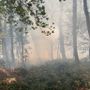 Incendi, il Piemonte regge ma l’Italia brucia: Legambiente lancia l’allarme e chiede un cambio di passo