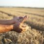 Coldiretti Piemonte, coltiva Italia: riconosciuta la strategicità della nostra agricoltura