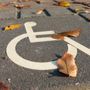 Novara, operativa dal 29 settembre la nuova Garante delle persone con disabilità