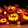 Torna a Novara il Mostro Raduno di Halloween: la città si prepara a una festa da brividi Torna a Novara il Mostro Raduno di Halloween: la città si prepara a una festa da brividi
