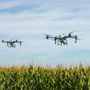 Via libera ai droni in agricoltura: una rivoluzione tecnologica per il settore