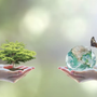 A Villa Cristina la biodiversità diventa esperienza: bruchi e farfalle per un nuovo percorso di cura A Villa Cristina la biodiversità diventa esperienza: bruchi e farfalle per un nuovo percorso di cura