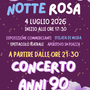 Trecate, Notte Rosa 2026: convocata la riunione online per l'assegnazione dei posti OSAP Trecate, Notte Rosa 2026: convocata la riunione online per l'assegnazione dei posti OSAP