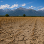 Crisi idrica, Novara perde il 31,5% dell'acqua immessa in rete Crisi idrica, Novara perde il 31,5% dell'acqua immessa in rete