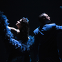Cala il sipario sul Festival Teatro sull’Acqua: in scena la commedia musicale “...Fino alle stelle!”