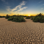Caldo estremo e siccità mettono a dura prova l’agricoltura europea: l'allarme del bollettino MARS della Commissione UE Caldo estremo e siccità mettono a dura prova l’agricoltura europea: l'allarme del bollettino MARS della Commissione UE
