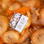 Fontaneto d'Agogna celebra la Cipolla Bionda: nuova sede e palatenda per la fiera del Presidio Slow Food Fontaneto d'Agogna celebra la Cipolla Bionda: nuova sede e palatenda per la fiera del Presidio Slow Food