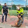 “La Protezione Civile in cartella”: gli alunni della primaria Rodari protagonisti di lezioni e simulazioni a Trecate