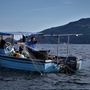 Da Lesa parte un progetto per rilanciare la pesca lacustre e valorizzare la filiera locale