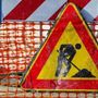 Chiusura temporanea della S.P. 6 “Trasversale del Basso Novarese” per lavori di manutenzione Chiusura temporanea della S.P. 6 “Trasversale del Basso Novarese” per lavori di manutenzione