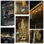 Romagnano Sesia illumina il Natale: accesi gli alberi in piazza e in cascina Mauletta