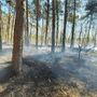 Incendio al Bosco Solivo: in corso operazioni di contenimento e bonifica