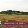 Sette domeniche tra colline, natura e racconti: al via il nuovo Cammina-tür