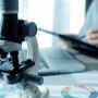 Torna a Novara “No-Cancer”: due giorni di scienza internazionale contro il cancro