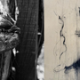 “Pareidolia” a Villa Picchetta: arte e natura in mostra tra volti e forme immaginate “Pareidolia” a Villa Picchetta: arte e natura in mostra tra volti e forme immaginate