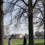 Dormelletto, alberi malati in via Tesio: al via controlli e possibili abbattimenti Dormelletto, alberi malati in via Tesio: al via controlli e possibili abbattimenti