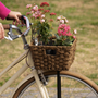 Torna la Pedalata colorata: 14 chilometri in bici tra città e natura Torna la Pedalata colorata: 14 chilometri in bici tra città e natura