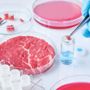 Cibo prodotto in laboratorio, Coldiretti Novara-Vco: “Restano dubbi su sicurezza e sostenibilità”