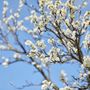Festa di Primavera a Montrigiasco: natura, sapori locali e convivialità tra le colline aroniesi