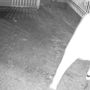 Sorpreso a rubare una bici in un cortile condominiale: arrestato a Novara ladro seriale di garage