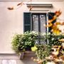 Novara fiorisce con la seconda edizione di Balconi in fiore: al via le iscrizioni