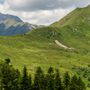 &quot;I Lunedì col Parco&quot;: sei appuntamenti per scoprire la natura e chi la protegge